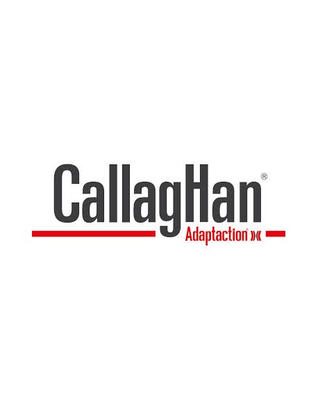 CALLAGHAN